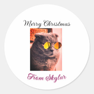 Sticker Rond Merveilleux chien de chat de Noël animal de compag