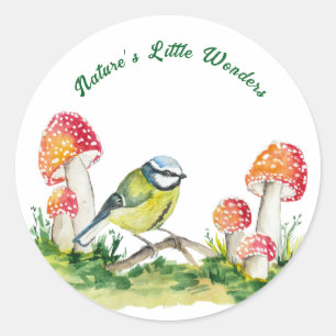 Sticker Rond Mésange bleue et Amanite tue-mouches dans une clai