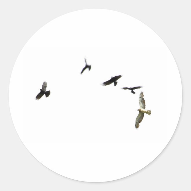 Sticker Rond Meurtre des corbeaux (Devant)