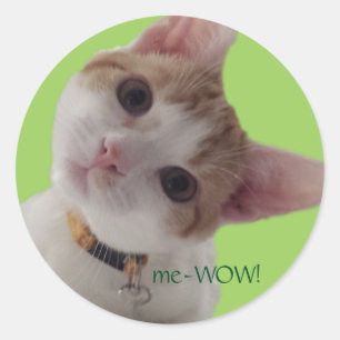 Sticker Rond meWOW Curious Chat Bon Travail Personnalisable Sti