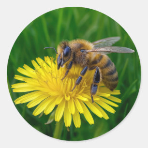 Sticker Rond Miel abeille sur un Dandelion Jaune