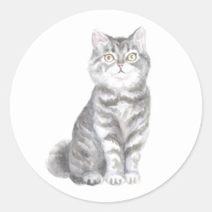 Sticker Rond Mignon Chat Gris Argent Tabby Chat Chaton Amoureux