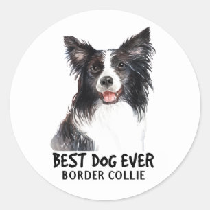 Sticker Rond Mignon Chien Amoureux Border Collie Noir Blanc