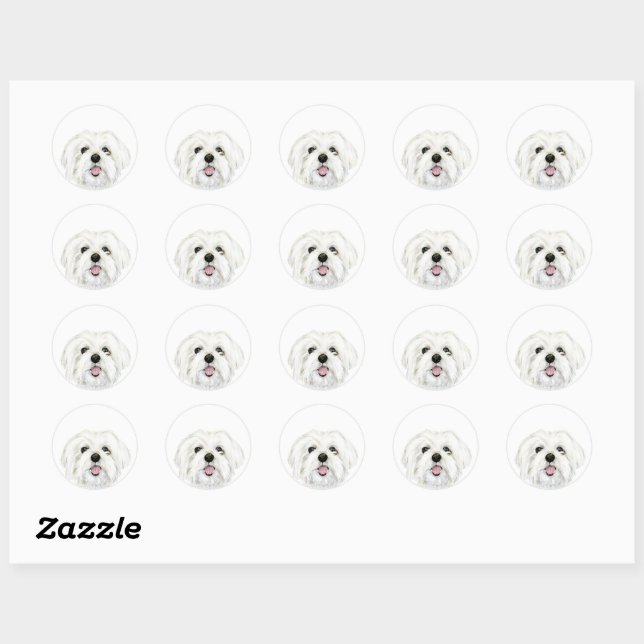 Sticker Rond mignon chien maltais blanc (Feuille)