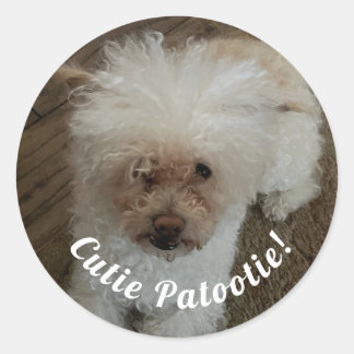 Sticker Rond Mignon tout plein