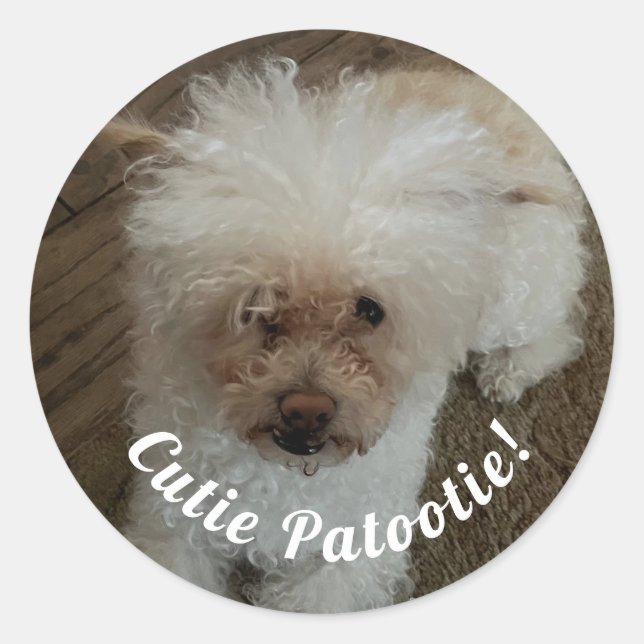 Sticker Rond Mignon tout plein (Devant)