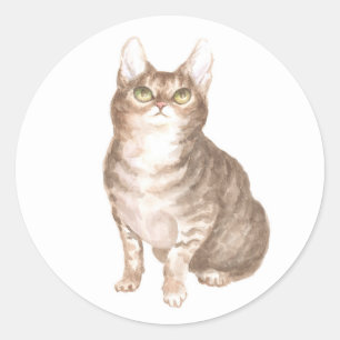 Sticker Rond Mignonne Chat Tigré Brun Rescapé Chaton Amoureux M
