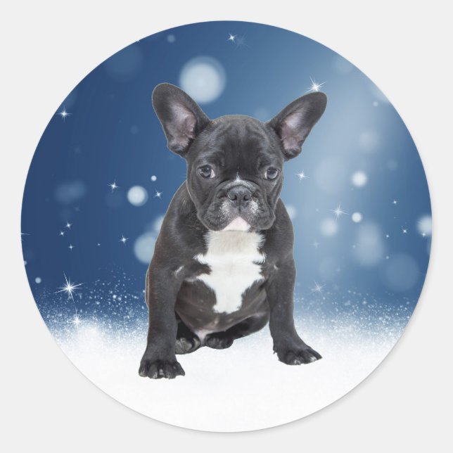 Sticker Rond Mignonne French Bulldog Etoiles de neige Bleu Noël (Devant)