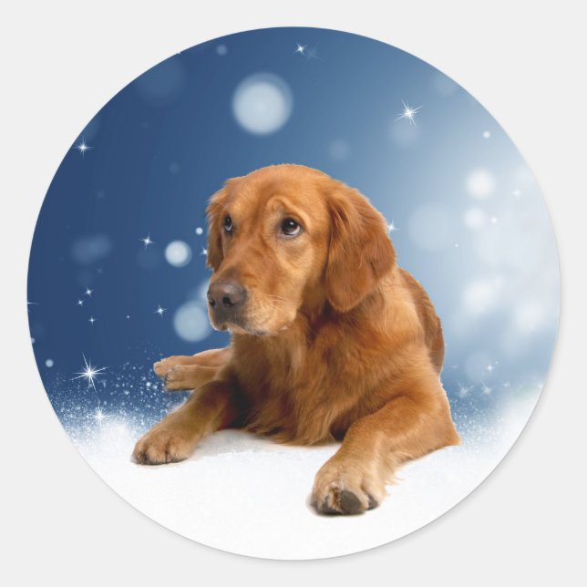 Sticker Rond Mignonne Golden Retriever Chien assis dans les éto (Devant)