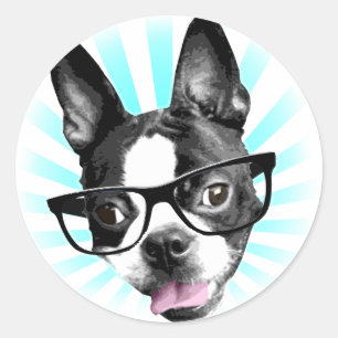 Sticker Rond Mignonne ! Hipster Boston Terrier