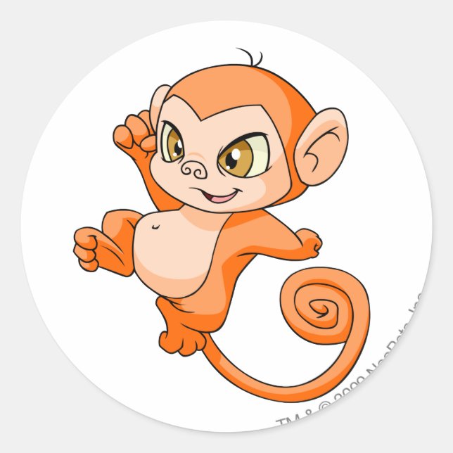 Sticker Rond Minci Orange (Devant)