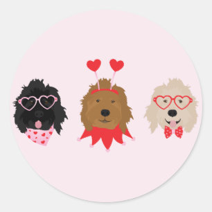 Sticker Rond Mini Goldendoodle Chiens Valentines Day
