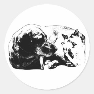 Sticker Rond Mini Pals—Chien rencontre Chat