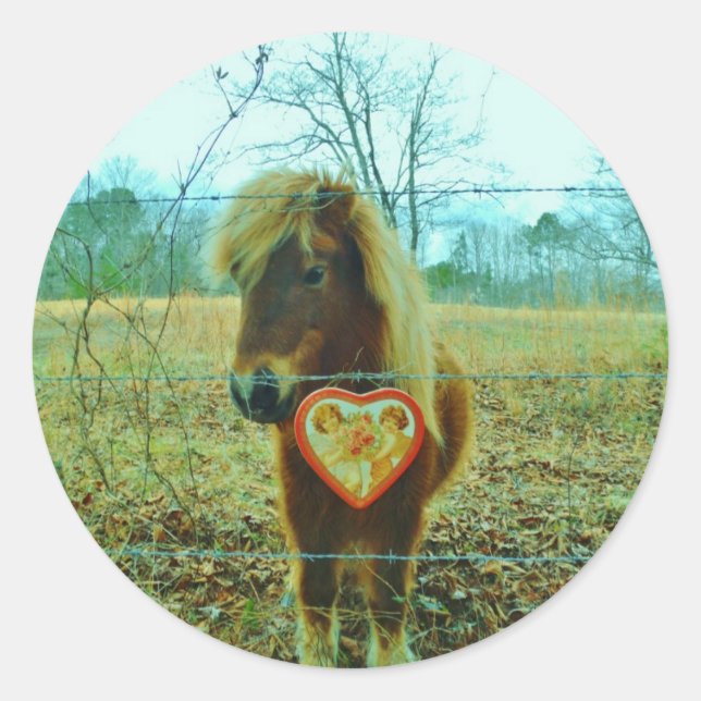 Sticker Rond Miniature cheval Brown Valentine Heart (Devant)