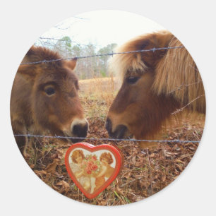 Sticker Rond Miniature Donkey & Horse Valentine Heart