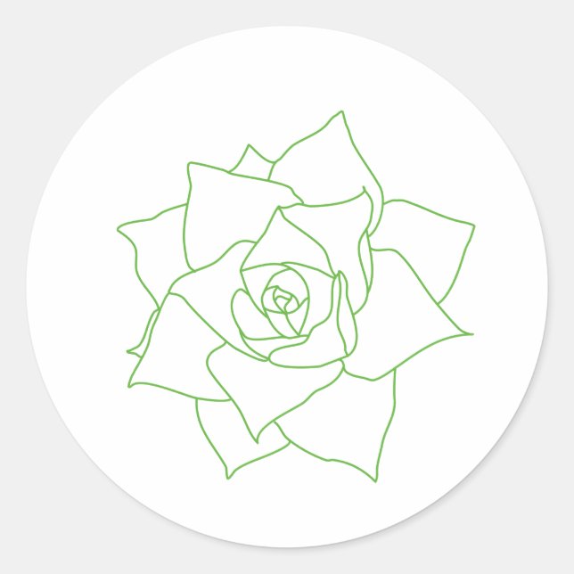 Sticker Rond Minimaliste Succulent Vert Botanique (Devant)