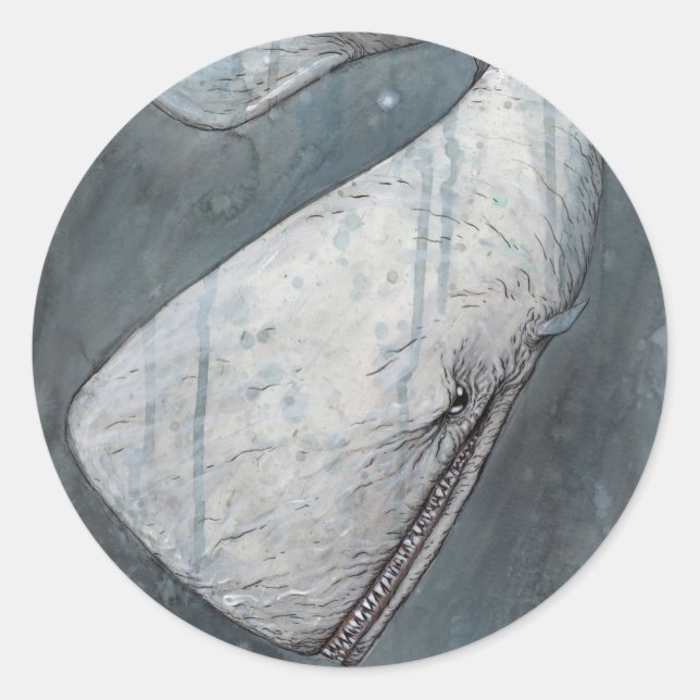 Sticker Rond Moby Dick (Devant)