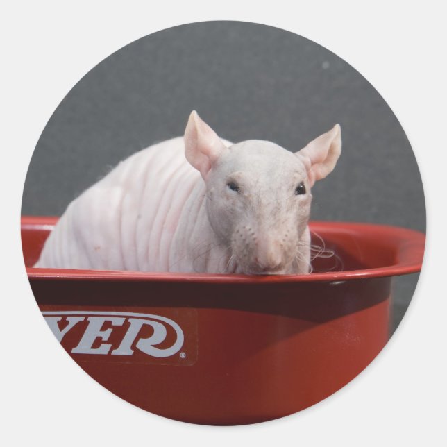 Sticker Rond Modèle (Devant)