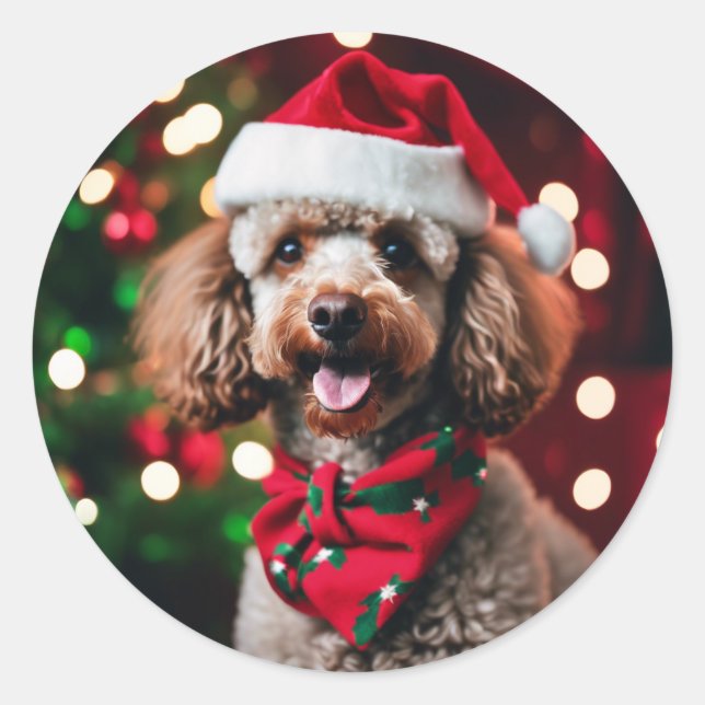 Sticker Rond Modèle de photo de Noël pour chien caniche avec le (Devant)