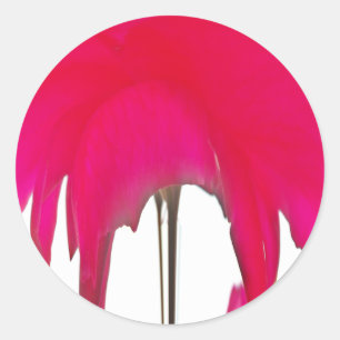 Sticker Rond Moment capturé : Une Élégance Pétale Rose Rouge