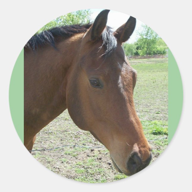 Sticker Rond Mon Ami, Le Cheval (Devant)