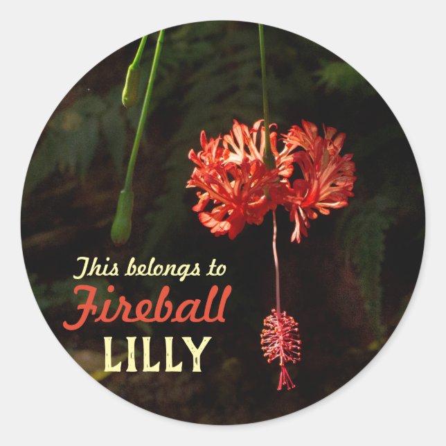 Sticker Rond Mon truc avec la lanterne japonaise (Devant)