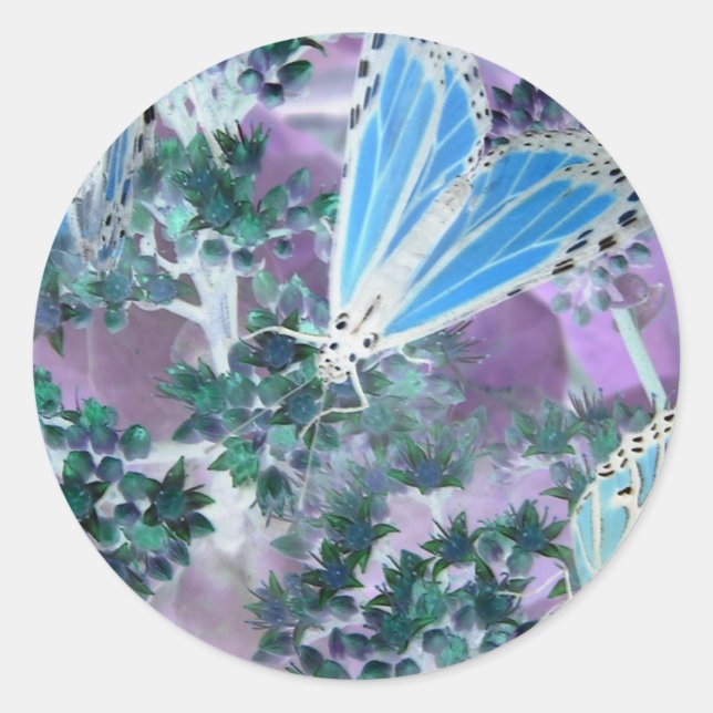 Sticker Rond Monarque Butterflies (Devant)