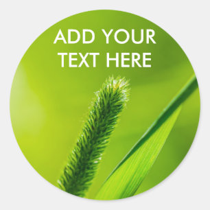 Sticker Rond Monde vert