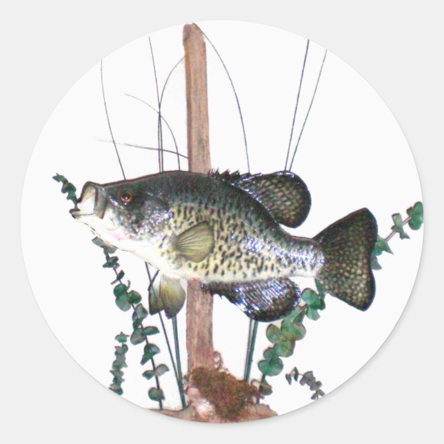 Sticker Rond Mont Crappie (Devant)
