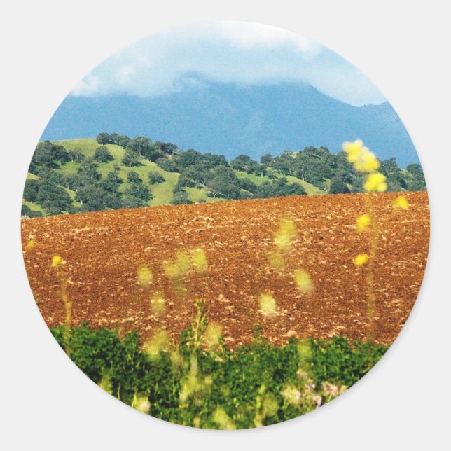 Sticker Rond Mont Diablo (Devant)