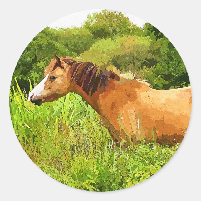 STICKER ROND MONTAGNE CHAUDE PONY (Devant)