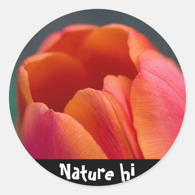 Sticker Rond monter tulipe (Devant)