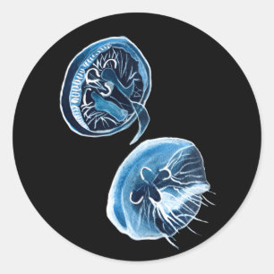 Sticker Rond MoonJellyfish aquarelle art