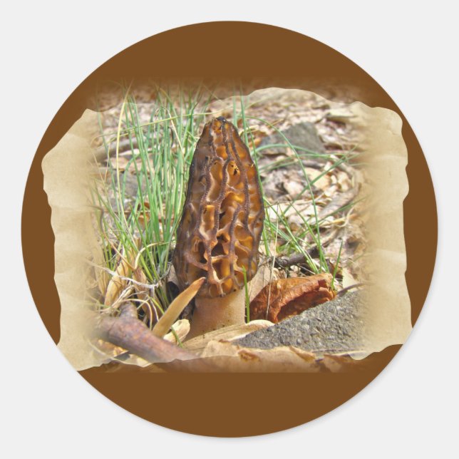 Sticker Rond Morel Mushroom (Devant)