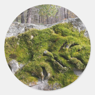 Sticker Rond Mossy Broken Headstone