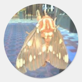 Sticker Rond Moth