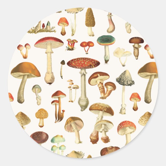 Sticker Rond Motif Champignon Vintage (Devant)