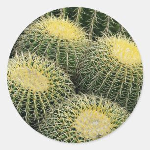 Sticker Rond Motif de cactus