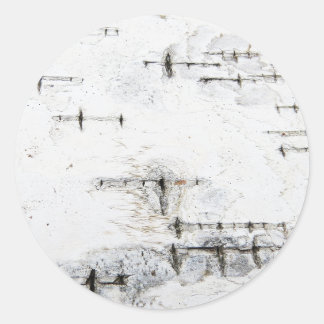 Sticker Rond Motif d'écorce de bouleau
