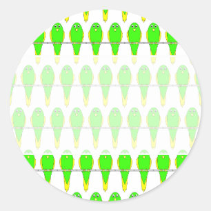 Sticker Rond Motif d'oiseaux verts et jaunes. Les perroquets.