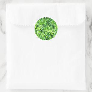 Sticker Rond Motif Feuille verdoyant - Nature Botanique