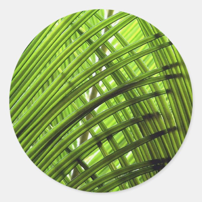 Sticker Rond Motif tropical (Devant)