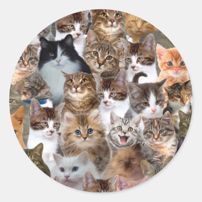 Sticker Rond Motif Visages de chat (Devant)