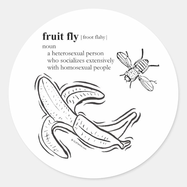 STICKER ROND MOUCHE DE LA FRUIT (Devant)