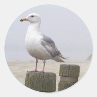 Sticker Rond Mouette