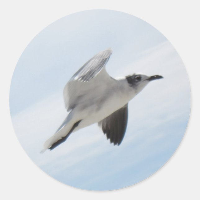 Sticker Rond Mouette volante (Devant)