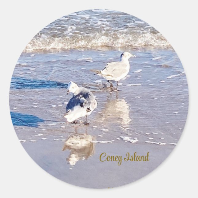 Sticker Rond Mouettes de Coney Island  (Devant)