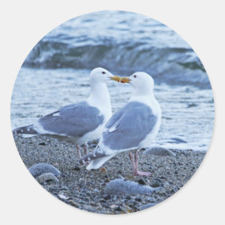 Sticker Rond Mouettes s'embrasser sur la plage Photo