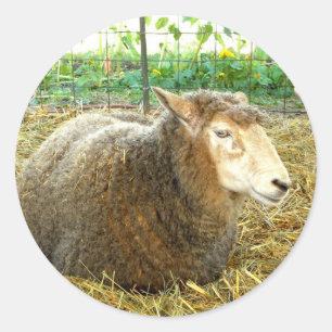 Sticker Rond Mouton à pâte feuilletée