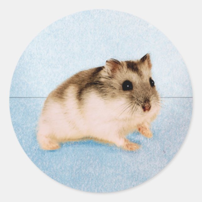 Sticker Rond Mu Mu le hamster (Devant)